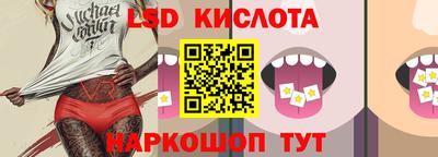крисы Дубна