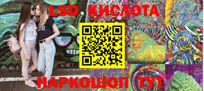 крисы Дубна